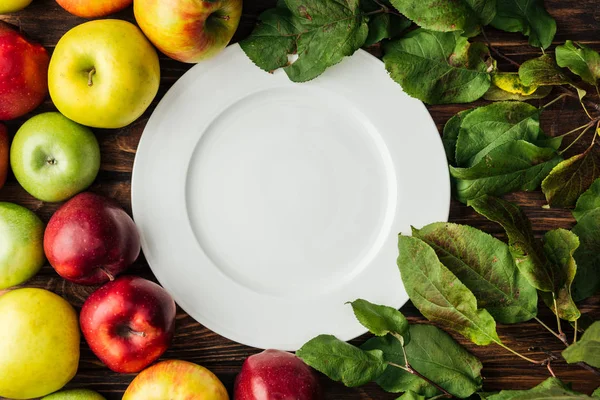 Draufsicht auf weißen Teller, reife bunte Äpfel und Zweige mit Blättern auf Holztisch — Stockfoto