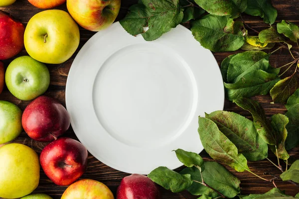 Top view of white plate, ripe multicolored apples and branches with leaves on wooden table — Stock Photo