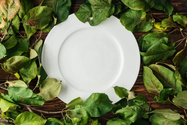 Vista dall'alto di piastra bianca e rami con foglie su tavolo di legno — Foto stock