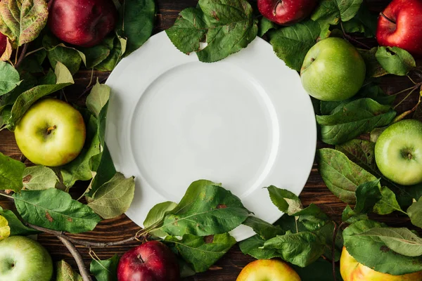 Draufsicht auf weißen Teller, bunte Äpfel und Zweige mit Blättern auf Holztisch — Stockfoto