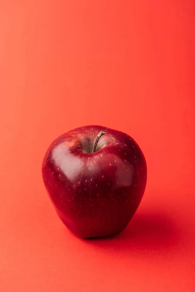 Delicious large apple on red background — Stock Photo