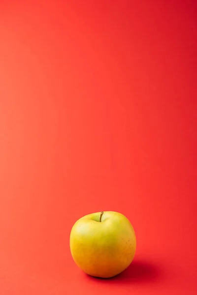Large golden delicious apple on red background — Stock Photo