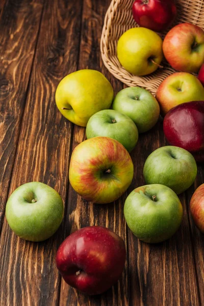 Scattered multicolored apples and wicker basket on wooden table — Stock Photo