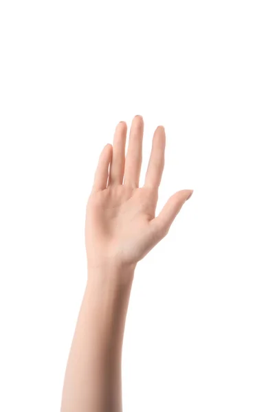Cropped view of woman hand isolated on white — Stock Photo