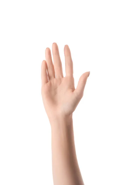 Vista parcial de la mano de la mujer aislada en blanco - foto de stock