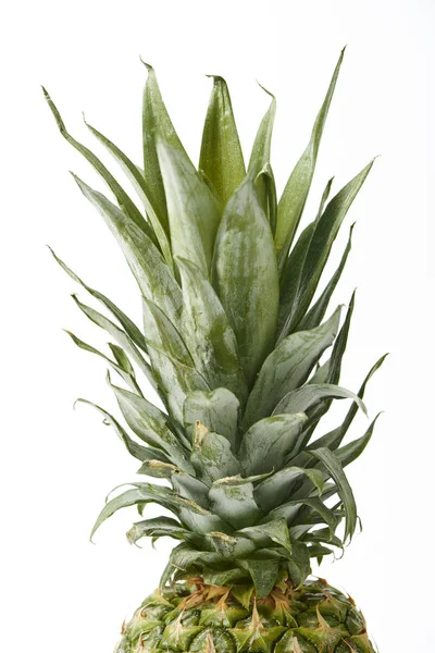 Primo piano di foglie di ananas fresche isolate su bianco — Foto stock