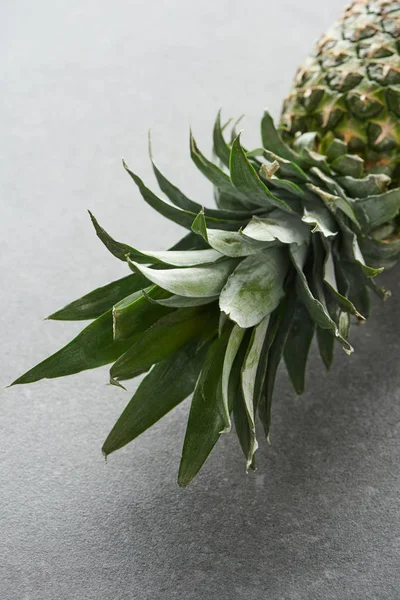 Nahaufnahme von grünen Ananasblättern auf grauem Hintergrund — Stockfoto