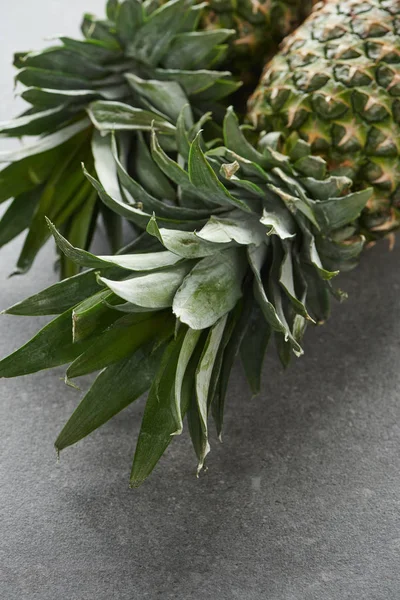 Close up of green pineapples on grey background — Stock Photo