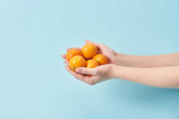 Visão cortada de mulher segurando tangerinas saborosas em mãos isoladas em azul — Fotografia de Stock