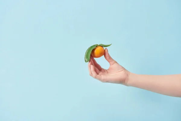 Vista recortada de la mujer sosteniendo mandarina orgánica en la mano aislado en azul - foto de stock