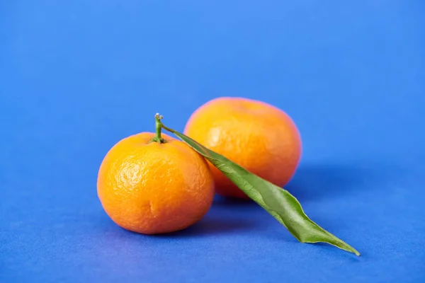 Juicy organic tangerines with zest on blue background — Stock Photo