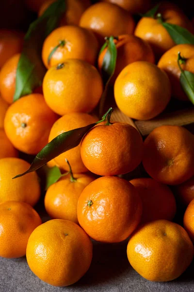 Foco seletivo de tangerinas laranja com folhas verdes — Fotografia de Stock