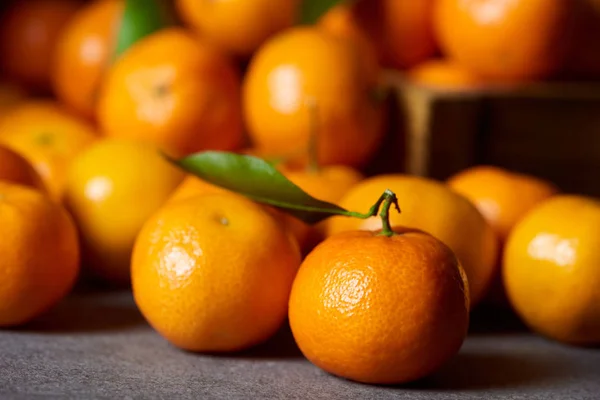 Selective focus of sweet orange clementine near tangerines with green leaves — Stock Photo