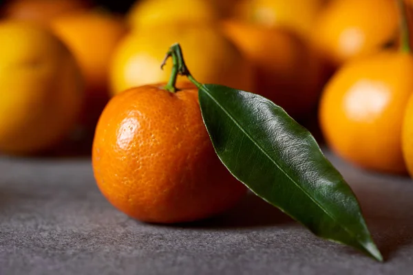 Selective focus of sweet orange clementine with green leaf near tangerines — Stock Photo