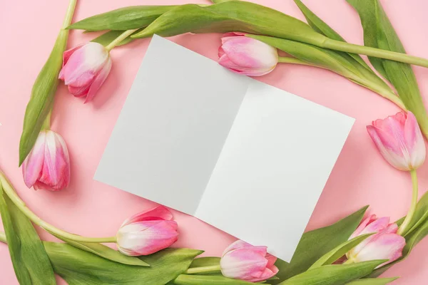 White blank greeting card with pink tulips arranged around on pink background — Stock Photo