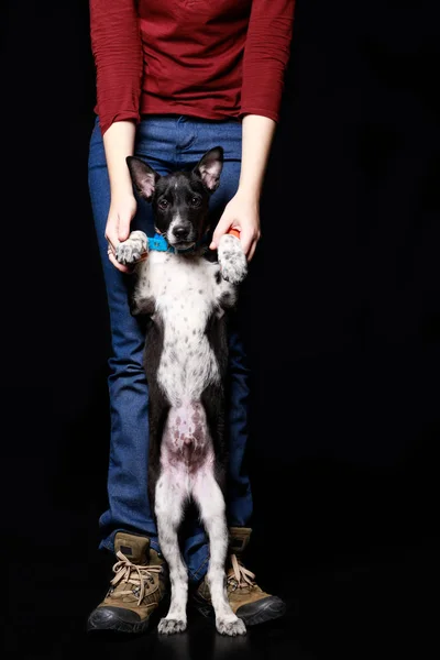 Cropped view of woman with dark dog on hind legs isolated on black — Stock Photo