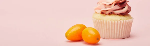 Panoramaaufnahme von süßem Cupcake mit Kumquats auf rosa Oberfläche — Stockfoto