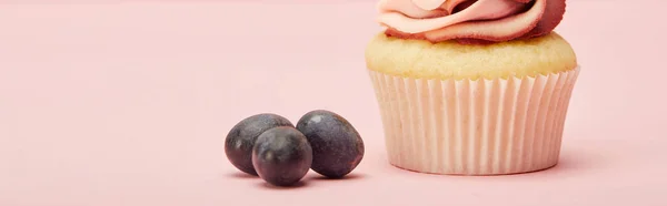 Panoramic shot of sweet cupcake with grapes on pink surface — Stock Photo