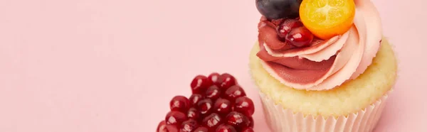 Panoramic shot of sweet cupcake with garnet isolated on pink — Stock Photo