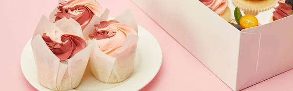 Panoramic shot of tasty cupcakes on white plate and in box on pink surface — Stock Photo