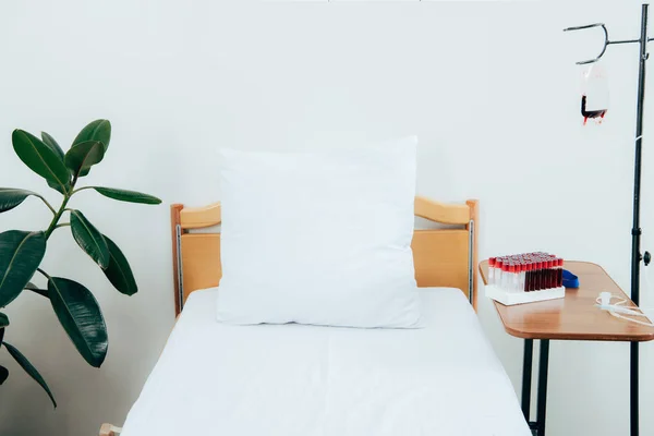Bett mit Kopfkissen, grüner Pflanze, abgepackten Zellen und Blutprobenröhrchen auf der Krankenhausstation — Stockfoto