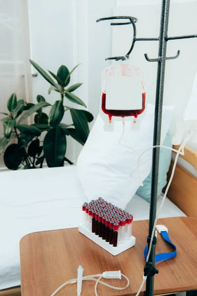 Bed with pillow, green plant, packed cells and blood test tubes in hospital ward — Stock Photo
