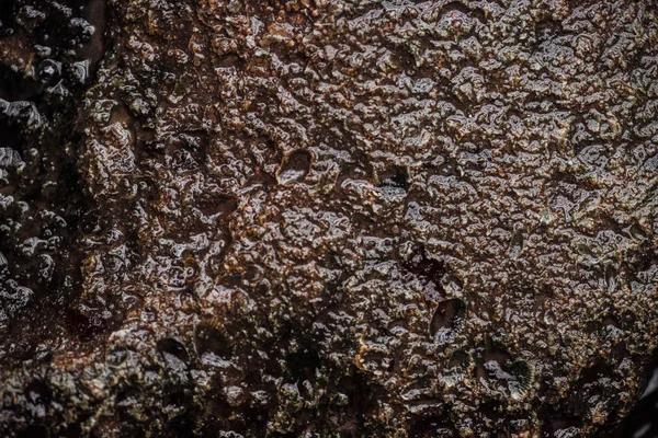 Vue de dessus de la surface en pierre marron humide texturée — Photo de stock