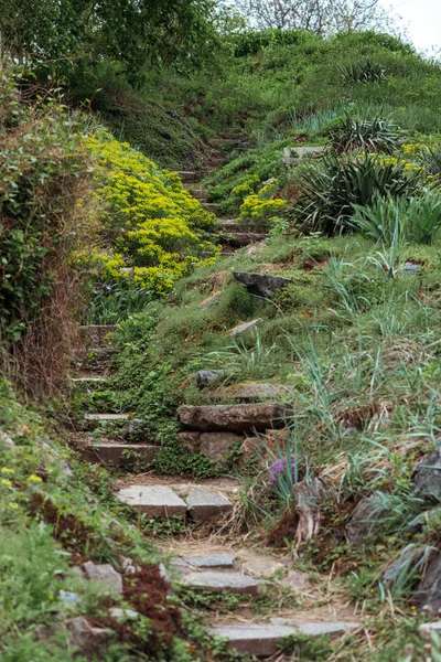 Stone stairs in green blooming park with bushes, flowers and grass — Stock Photo