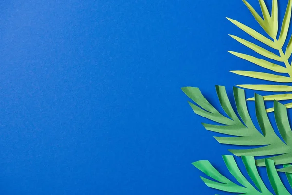 Top view of green paper cut exotic leaves on blue background with copy space — Stock Photo