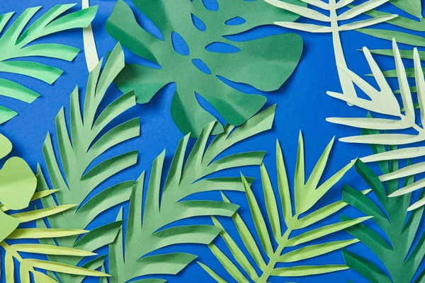 Top view of green paper cut exotic leaves on blue background — Stock Photo