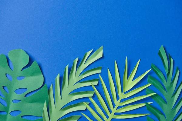 Top view of green paper cut exotic leaves on blue background with copy space — Stock Photo