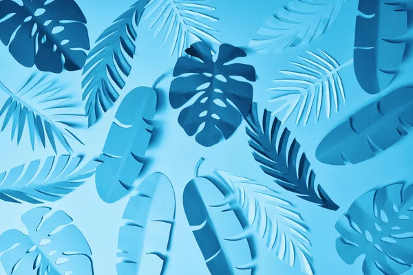 Pattern of blue minimalistic paper cut palm leaves on blue background — Stock Photo