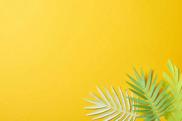 Top view of paper cut exotic green palm leaves on yellow background with copy space — Stock Photo