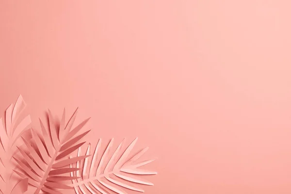 Vista superior de papel decorativo cortar folhas exóticas no fundo rosa com espaço de cópia — Fotografia de Stock