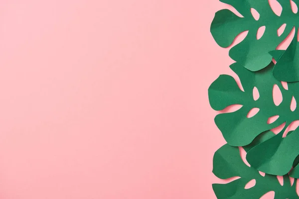 Top view of green palm leaves on pink background with copy space — Stock Photo