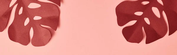 Вид зверху на паперове вирізання екзотичних листя долоні на рожевому фоні, панорамний знімок — стокове фото