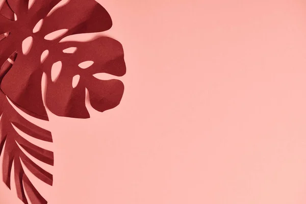 Vista dall'alto del taglio di carta foglie di palma bordeaux su sfondo rosa — Foto stock