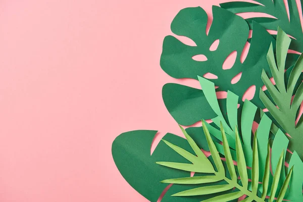 Vista dall'alto di foglie di palma verde su sfondo rosa con spazio copia — Foto stock