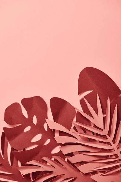 Top view of paper cut burgundy palm leaves on pink background — Stock Photo