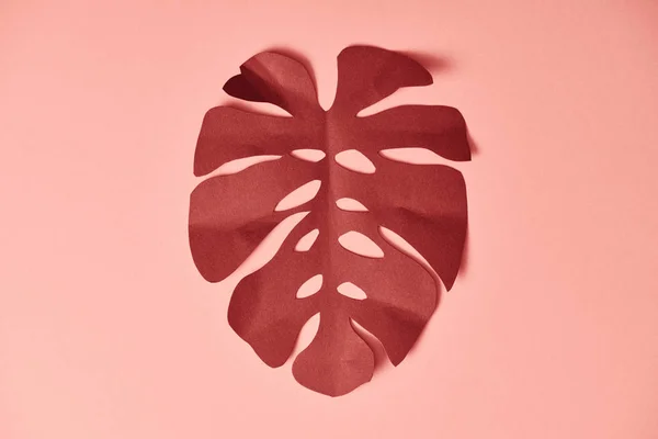 Верхний вид бумаги вырезать бордовый пальмовый лист на розовом фоне — стоковое фото