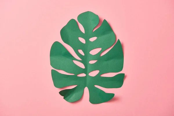 Top view of green palm leaf on pink background with copy space — Stock Photo