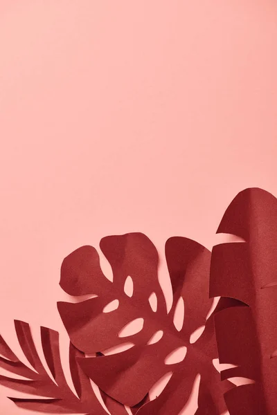 Вид зверху паперу вирізане бордове пальмове листя на рожевому фоні з пробілом для копіювання — стокове фото