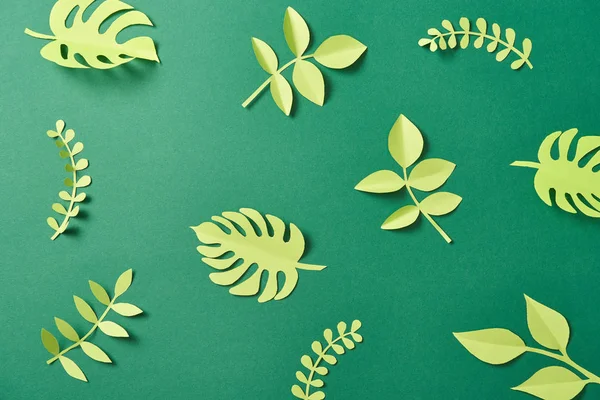 Pattern of exotic paper cut palm leaves on green background with copy space — Stock Photo