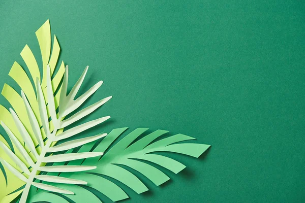 Top view of exotic paper cut palm leaves on green background with copy space — Stock Photo