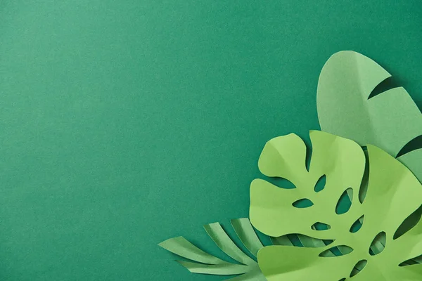 Вид сверху на экзотическую бумагу срезать пальмовые листья на зеленом фоне с копировальным пространством — стоковое фото