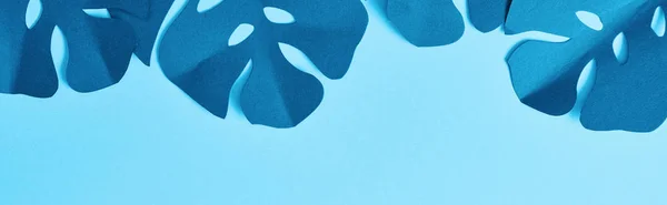 Top view of blue exotic paper cut palm leaves on blue background with copy space, panoramic shot — Stock Photo