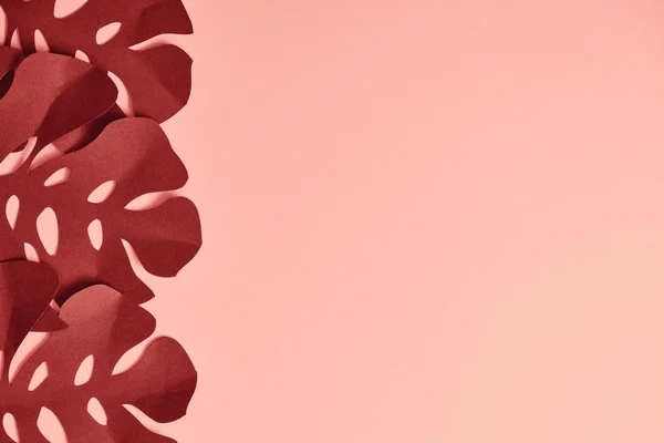 Vue du haut du papier exotique bordeaux feuilles de palmier coupées sur fond rose avec espace de copie — Photo de stock