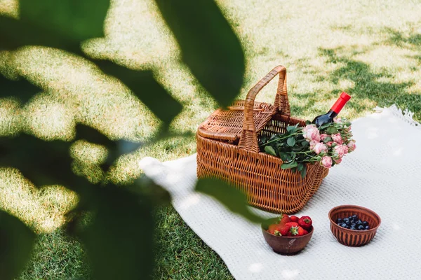 Selektiver Fokus von grünen Blättern und Weidenkorb mit Rosen und einer Flasche Wein in der Nähe von Beeren auf einer weißen Decke an sonnigen Tagen im Garten — Stockfoto