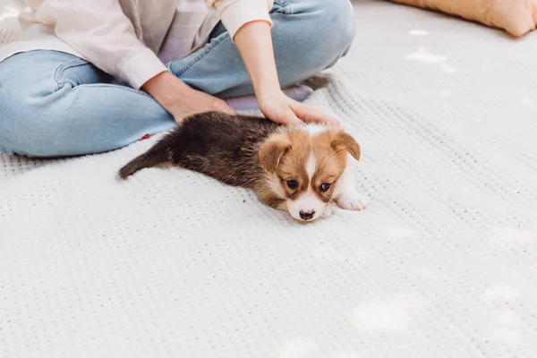 Cropped view of young girl sitting on white blanket outdoors with cute fluffy puppy — Stock Photo