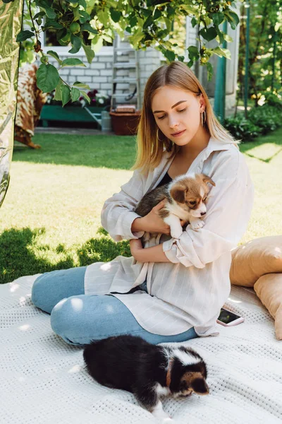 Chica rubia sentada en una manta en el jardín con adorables cachorros en un día soleado - foto de stock